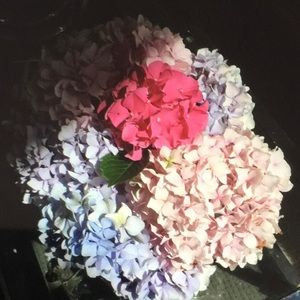 Meet your Posher, Kisstenna